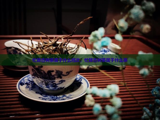 忙肺古树茶属于什么档次