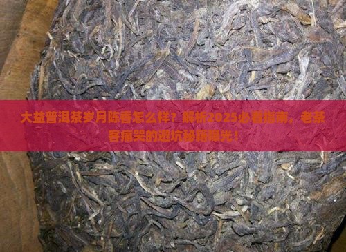 大益普洱茶岁月陈香怎么样