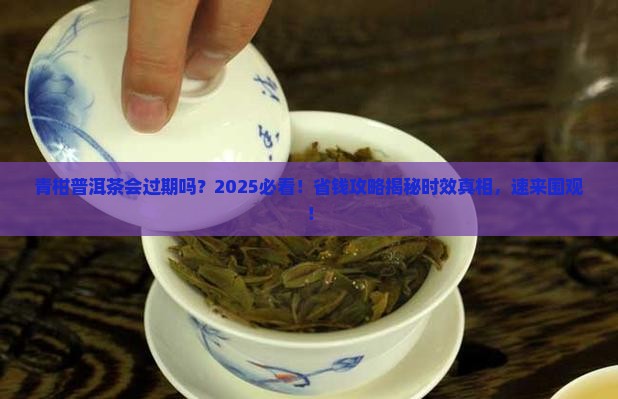 青柑普洱茶有时效吗