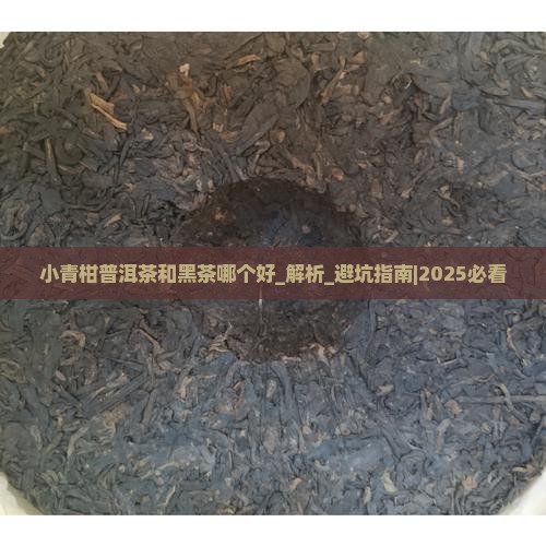 小青柑普洱茶和黑茶哪个好