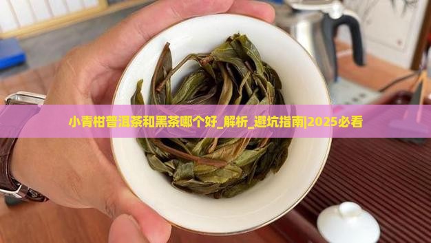 小青柑普洱茶和黑茶哪个好
