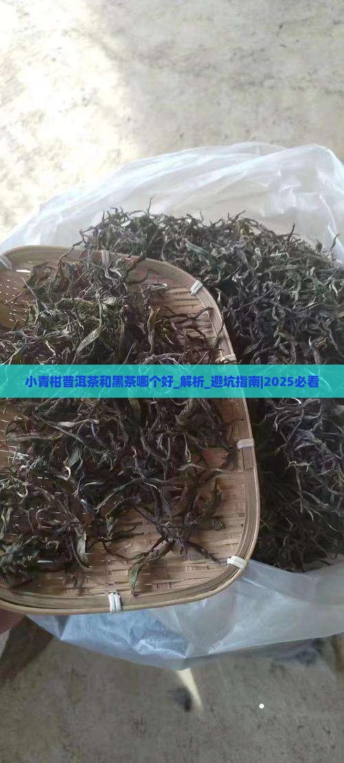小青柑普洱茶和黑茶哪个好