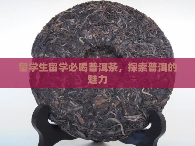 留学生可以喝普洱茶吗吗