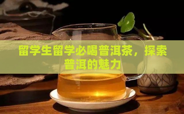 留学生可以喝普洱茶吗吗