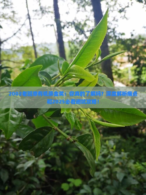 2002老班章有机茶金奖