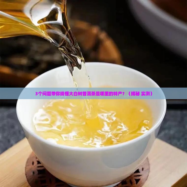 大白树普洱茶是哪里的特产