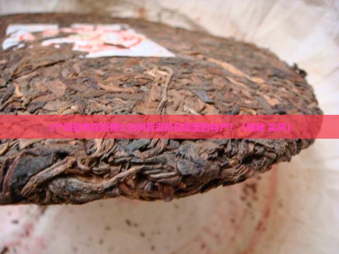大白树普洱茶是哪里的特产