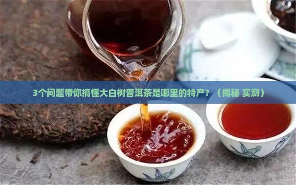大白树普洱茶是哪里的特产