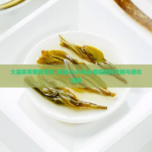 大益茶笑傲普洱茶