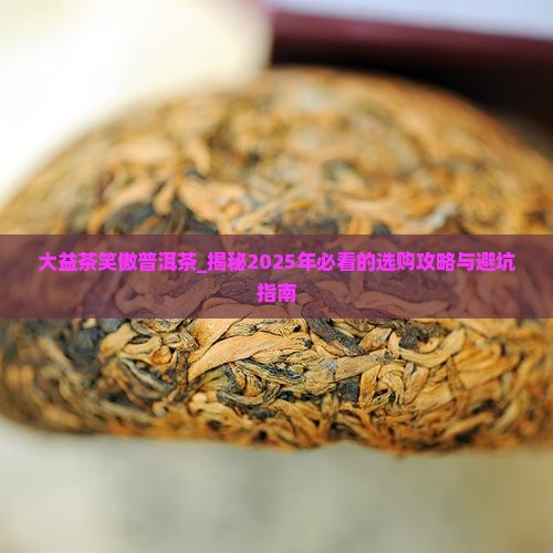 大益茶笑傲普洱茶