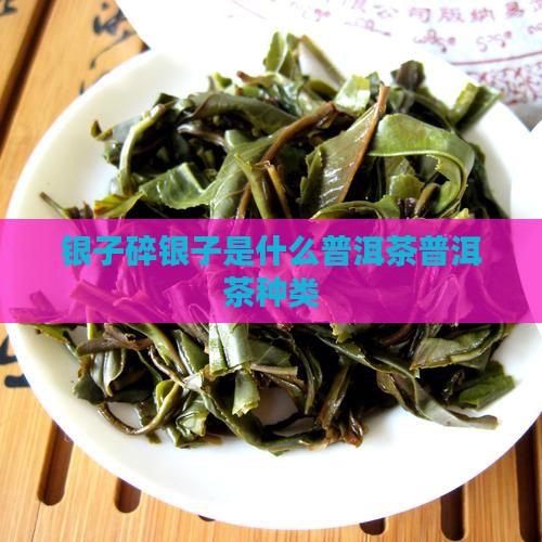 碎银子是什么茶叶种类