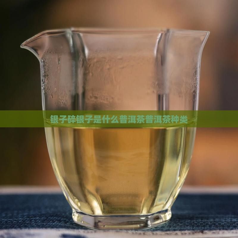 碎银子是什么茶叶种类