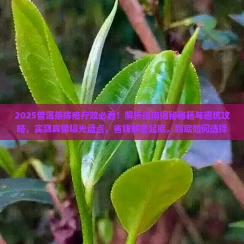 普洱茶痔疮疗效