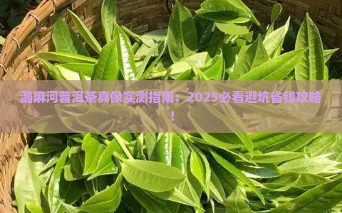 潞麻河普洱茶好不好