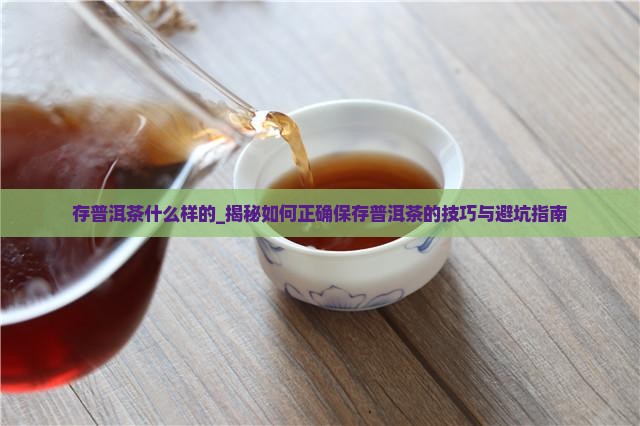存普洱茶什么样的