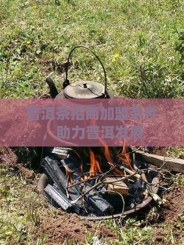 南昌普洱茶招商条件