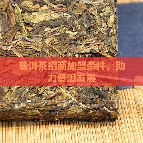 南昌普洱茶招商条件
