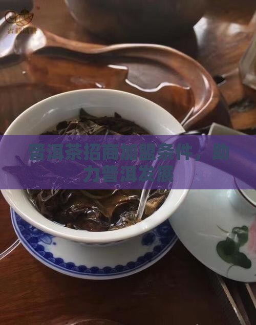 南昌普洱茶招商条件