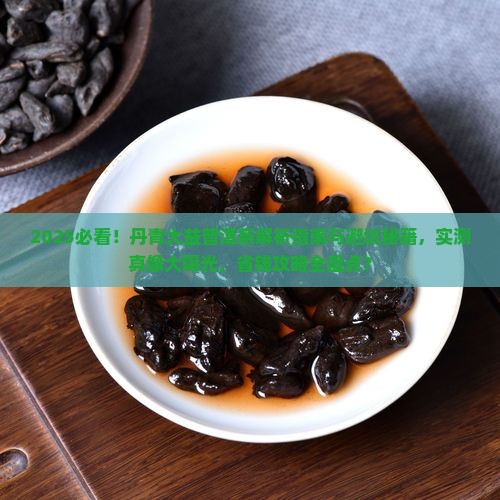 丹青大益普洱茶