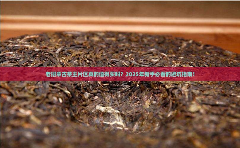 老班章古茶王片区