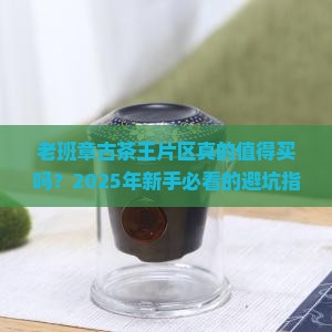 老班章古茶王片区