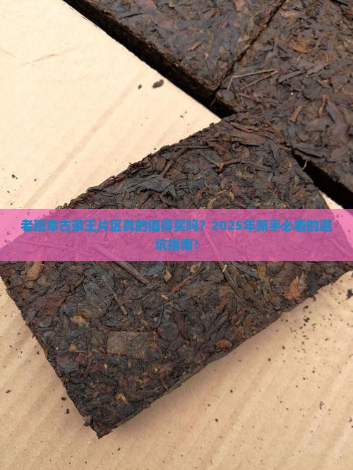 老班章古茶王片区