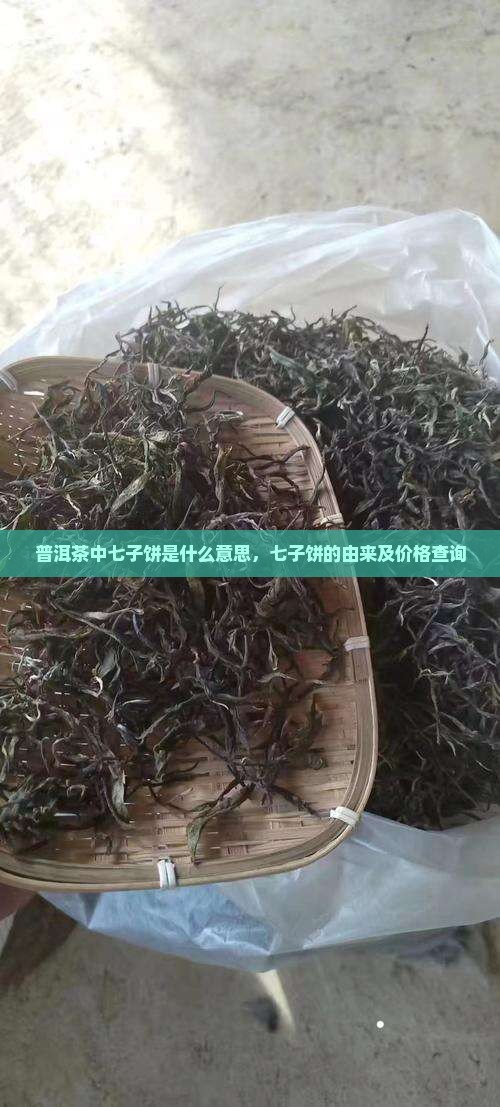 普洱茶中七子饼是什么意思