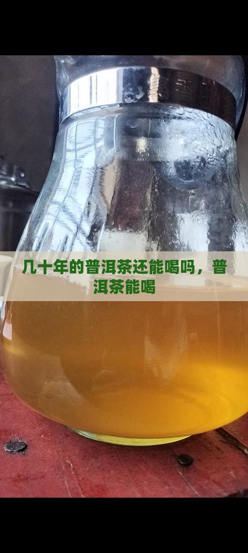 几十年的生普洱茶能喝吗