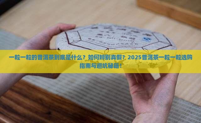 一粒一粒的普洱茶