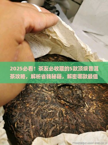 比较著名的普洱茶有哪些