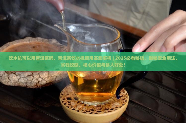 饮水机可以用普洱茶吗