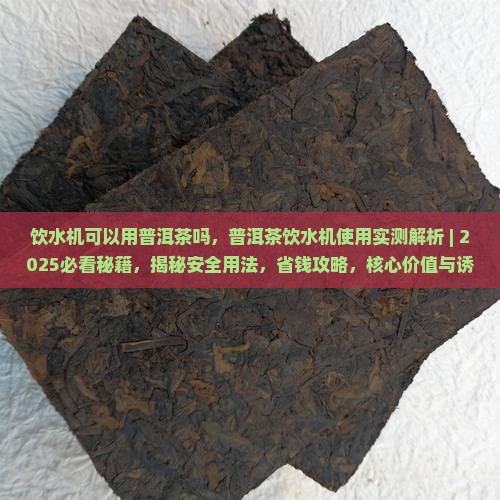 饮水机可以用普洱茶吗