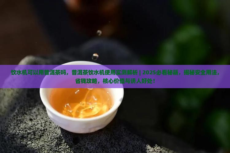 饮水机可以用普洱茶吗