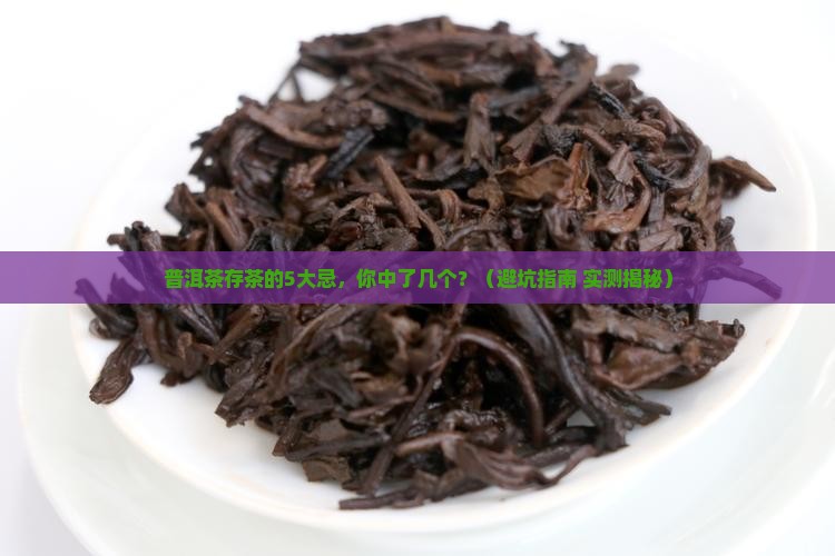 普洱茶存茶的5大忌