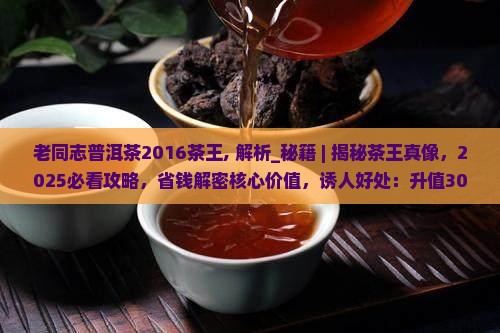 老同志普洱茶2016茶王
