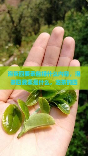 泡茶四要素包括什么
