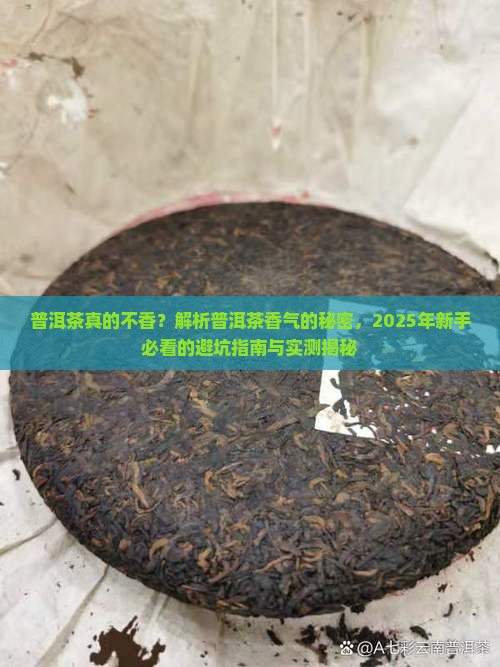 我觉得普洱茶不香