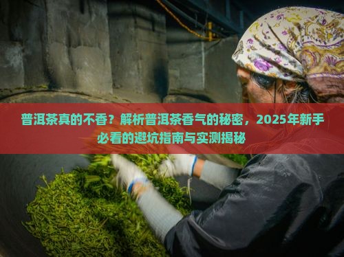 我觉得普洱茶不香