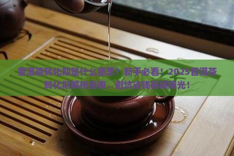 普洱茶转化期什么意思