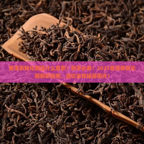 普洱茶转化期什么意思