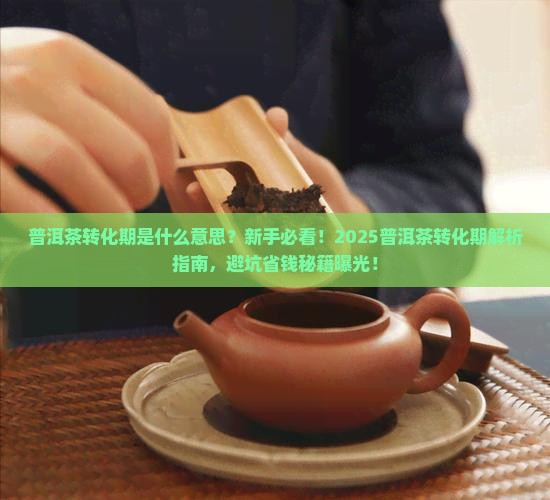 普洱茶转化期什么意思