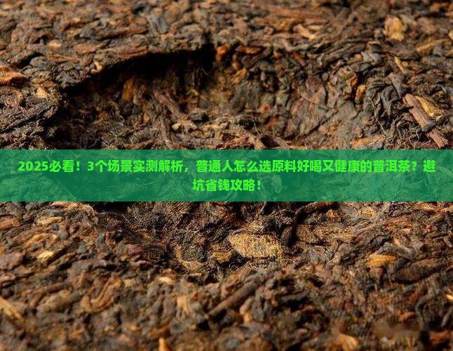 什么样原料普洱茶好喝又健康