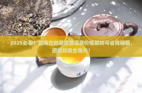 勐海古树易武普洱茶价格