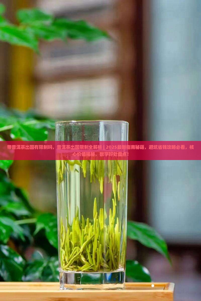 带普洱茶出国有限制吗