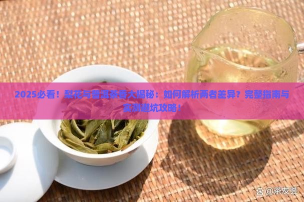梨花哪有普洱茶香