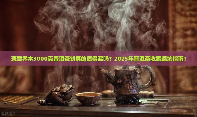 班章乔木3000克普洱茶饼