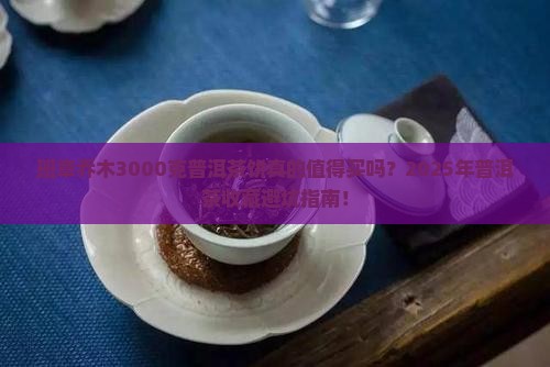 班章乔木3000克普洱茶饼