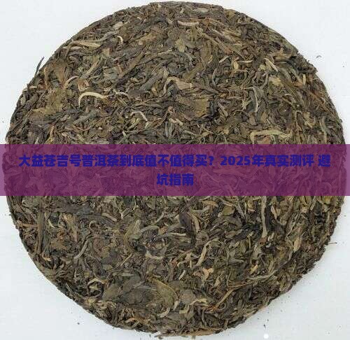 大益苍吉号普洱茶
