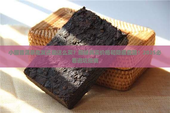 小罐装普洱茶批发