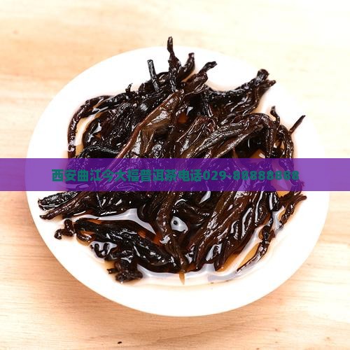 西安曲江今大福普洱茶电话